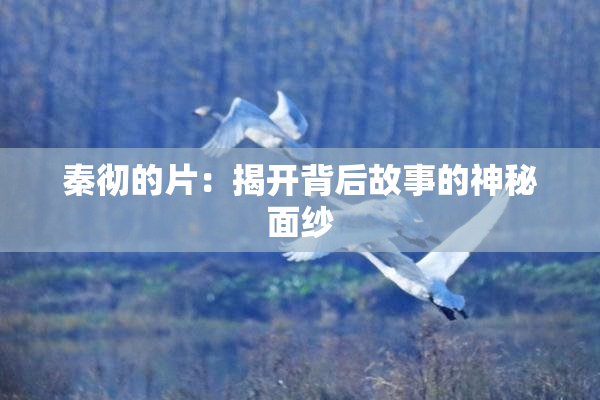 秦彻的片：揭开背后故事的神秘面纱