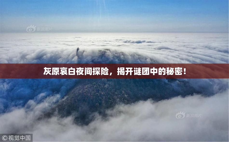 灰原哀白夜间探险，揭开谜团中的秘密！