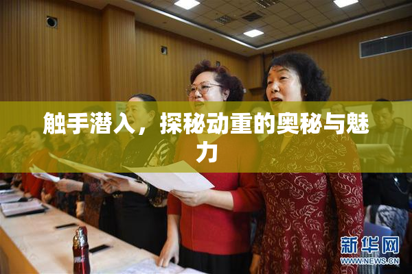 触手潜入，探秘动重的奥秘与魅力