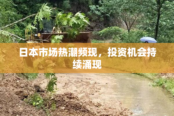 日本市场热潮频现，投资机会持续涌现