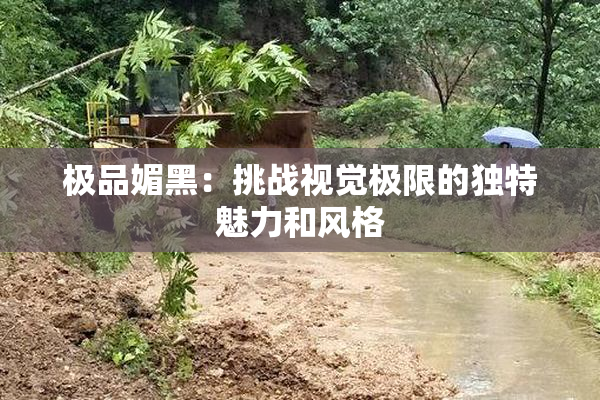 极品媚黑：挑战视觉极限的独特魅力和风格