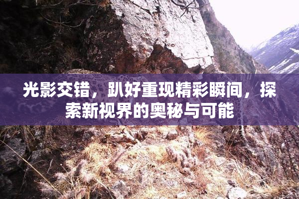 光影交错，趴好重现精彩瞬间，探索新视界的奥秘与可能