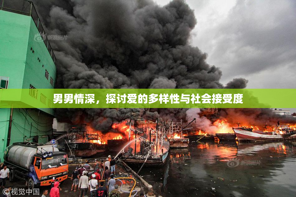 男男情深，探讨爱的多样性与社会接受度