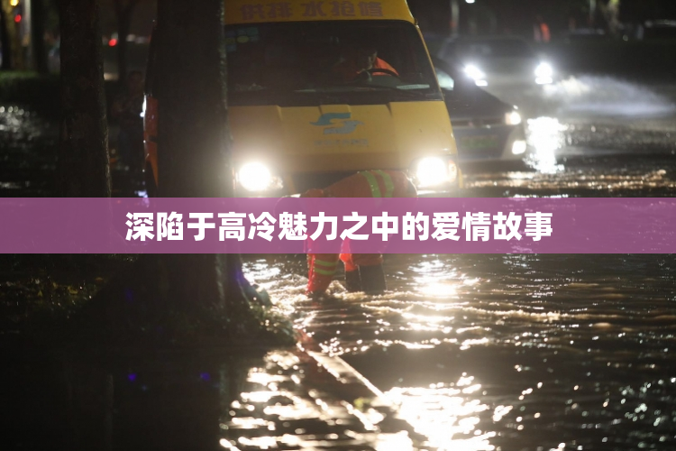深陷于高冷魅力之中的爱情故事