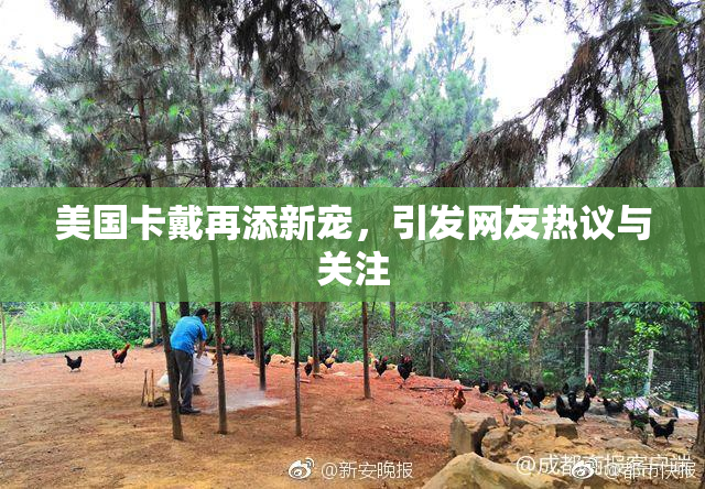 美国卡戴再添新宠，引发网友热议与关注