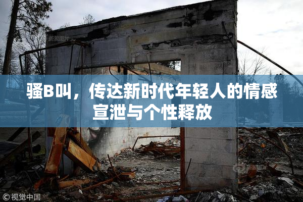 骚B叫，传达新时代年轻人的情感宣泄与个性释放
