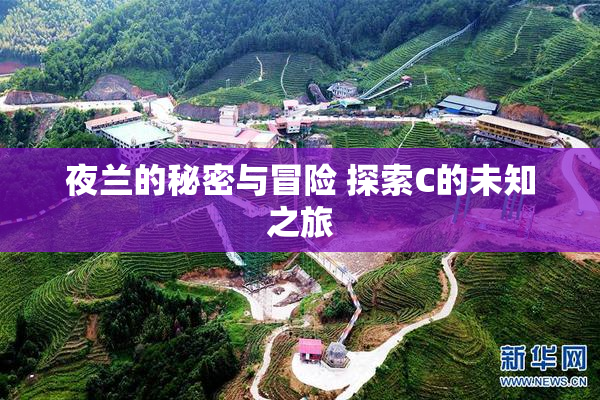 夜兰的秘密与冒险 探索C的未知之旅