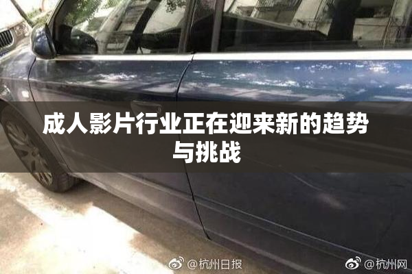 成人影片行业正在迎来新的趋势与挑战
