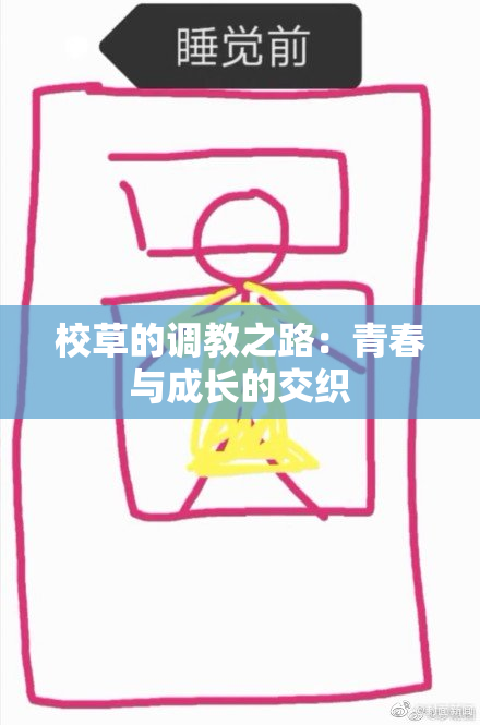 校草的调教之路：青春与成长的交织