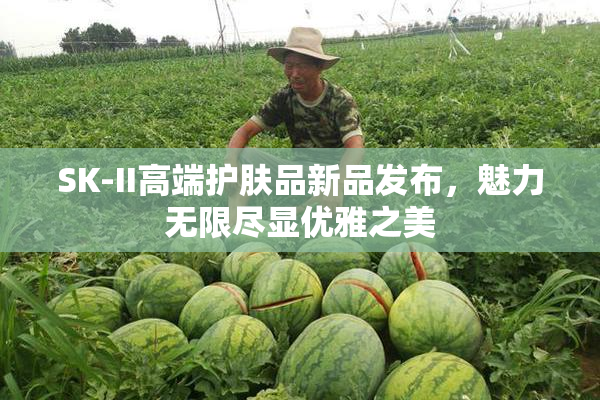 SK-II高端护肤品新品发布，魅力无限尽显优雅之美