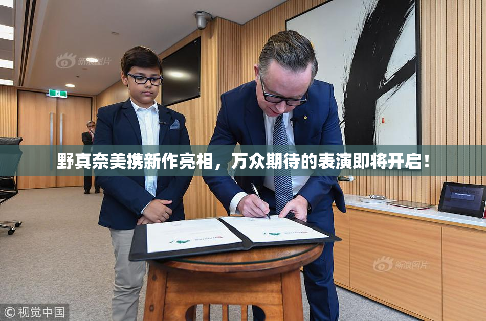野真奈美携新作亮相，万众期待的表演即将开启！