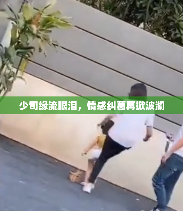 少司缘流眼泪，情感纠葛再掀波澜