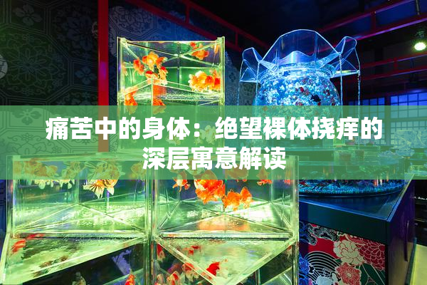 痛苦中的身体：绝望裸体挠痒的深层寓意解读