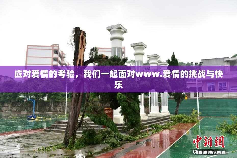 应对爱情的考验，我们一起面对www.爱情的挑战与快乐