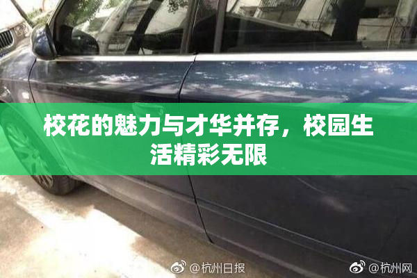 校花的魅力与才华并存，校园生活精彩无限