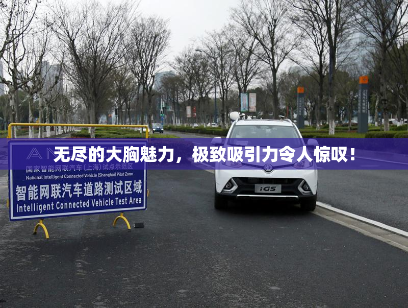 无尽的大胸魅力，极致吸引力令人惊叹！