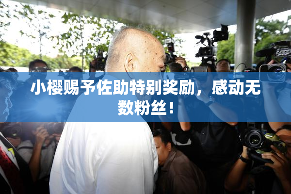 小樱赐予佐助特别奖励，感动无数粉丝！