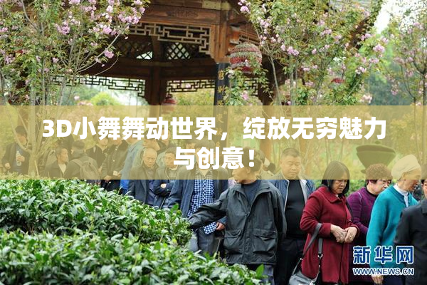 3D小舞舞动世界，绽放无穷魅力与创意！