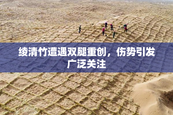 绫清竹遭遇双腿重创，伤势引发广泛关注