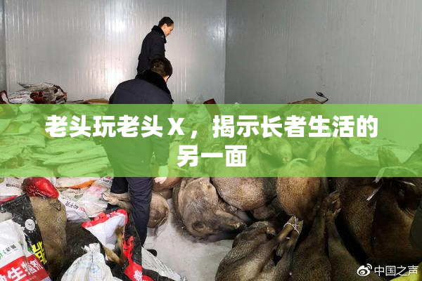 老头玩老头Ⅹ，揭示长者生活的另一面