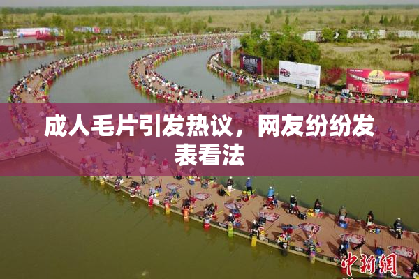 成人毛片引发热议，网友纷纷发表看法