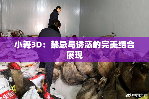 小舞3D：禁忌与诱惑的完美结合展现