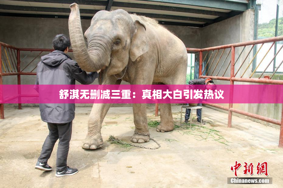 舒淇无删减三重：真相大白引发热议