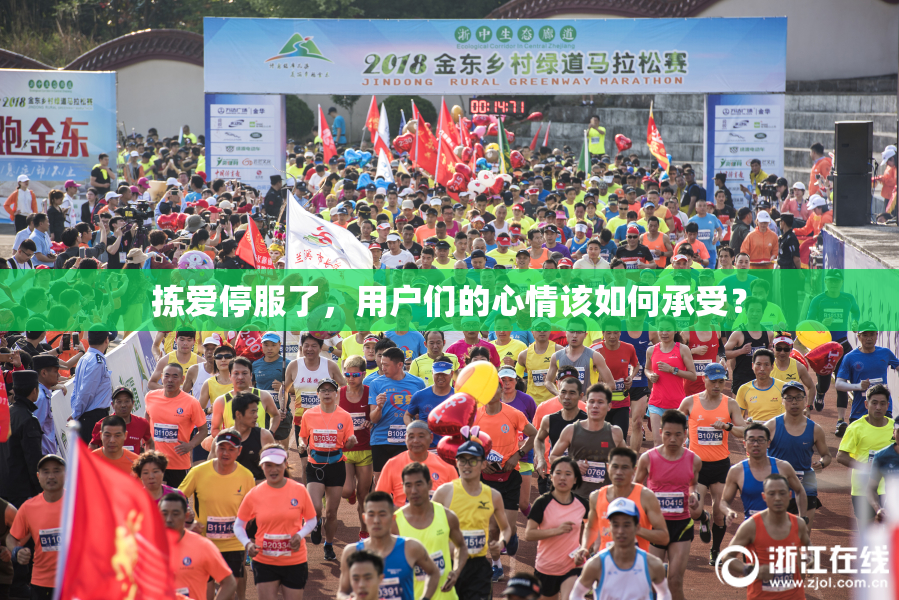 拣爱停服了，用户们的心情该如何承受？
