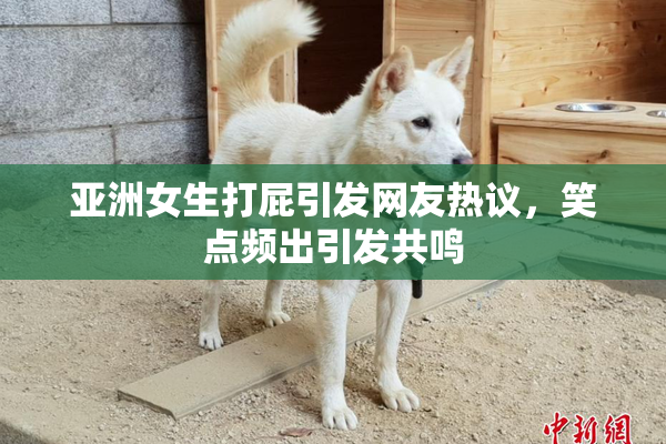 亚洲女生打屁引发网友热议，笑点频出引发共鸣