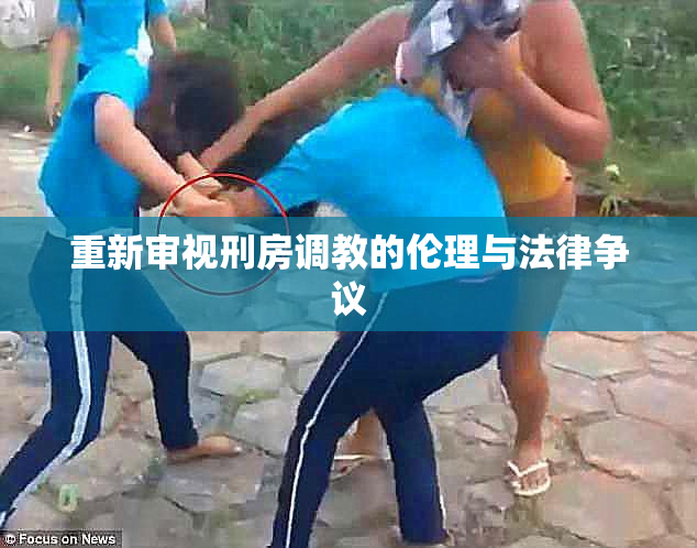 重新审视刑房调教的伦理与法律争议