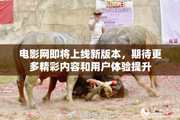 电影网即将上线新版本，期待更多精彩内容和用户体验提升
