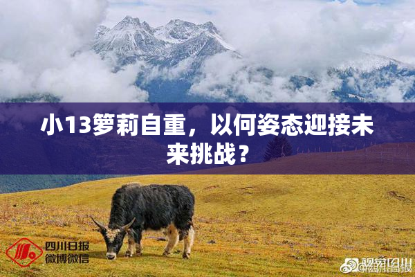 小13箩莉自重，以何姿态迎接未来挑战？