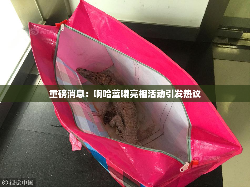 重磅消息：啊哈蓝曦亮相活动引发热议