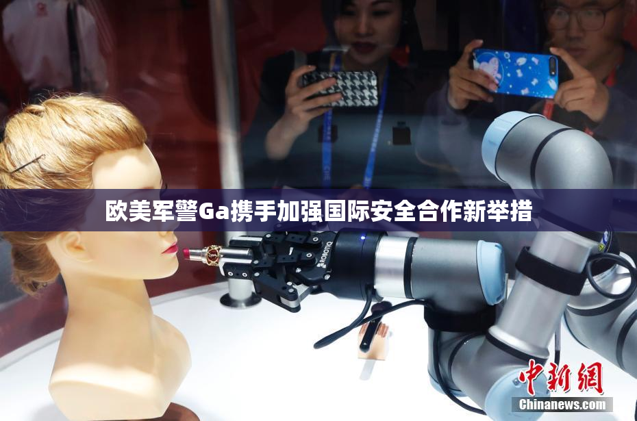 欧美军警Ga携手加强国际安全合作新举措