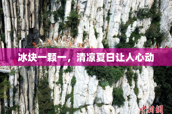 冰块一颗一，清凉夏日让人心动