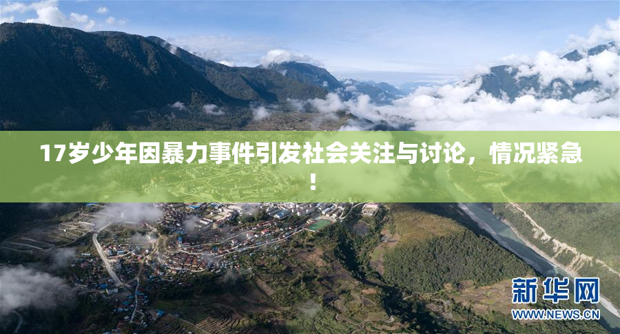 17岁少年因暴力事件引发社会关注与讨论，情况紧急！