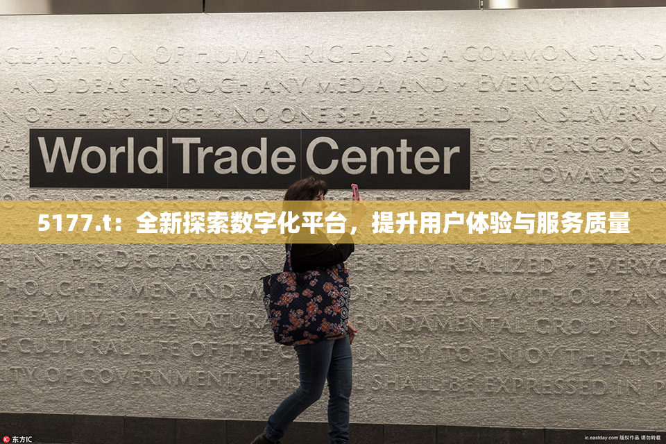 5177.t：全新探索数字化平台，提升用户体验与服务质量