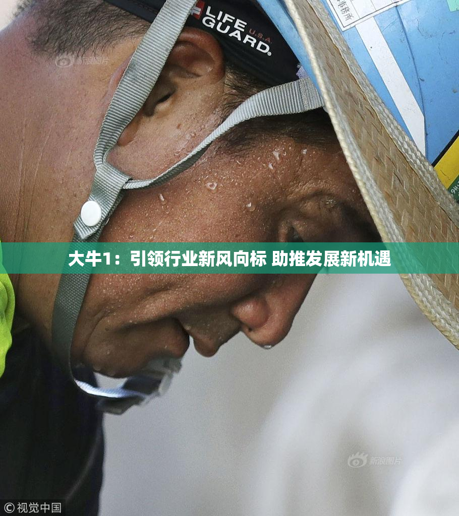 大牛1：引领行业新风向标 助推发展新机遇