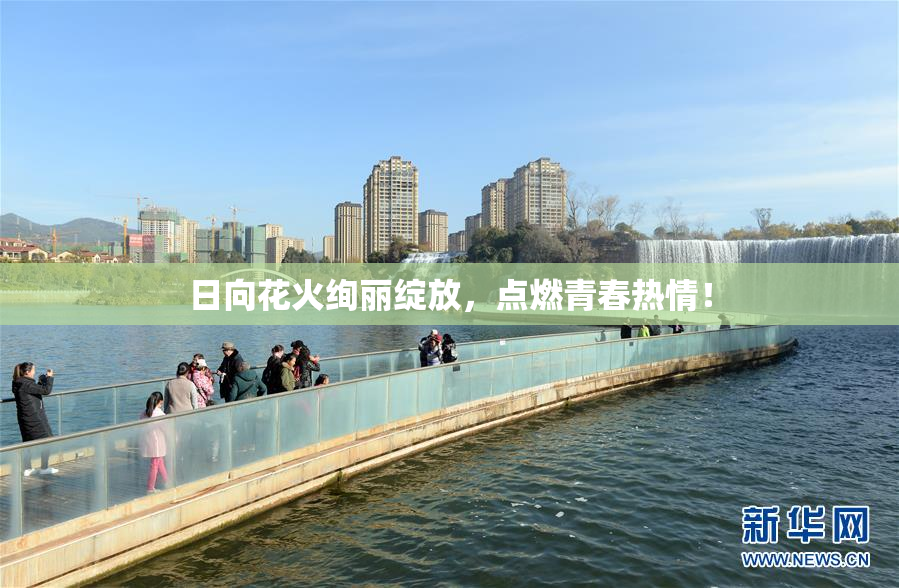 日向花火绚丽绽放，点燃青春热情！