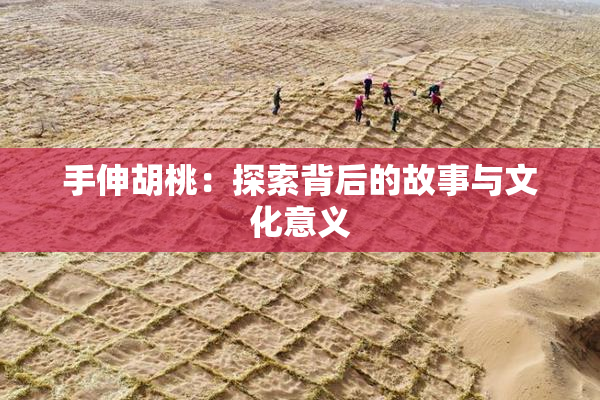 手伸胡桃：探索背后的故事与文化意义