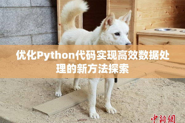 优化Python代码实现高效数据处理的新方法探索