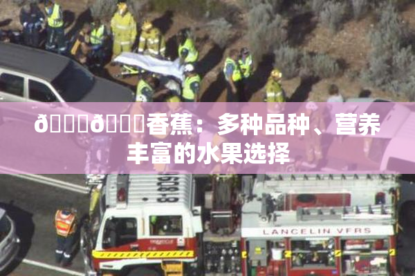 🔞🔞香蕉：多种品种、营养丰富的水果选择