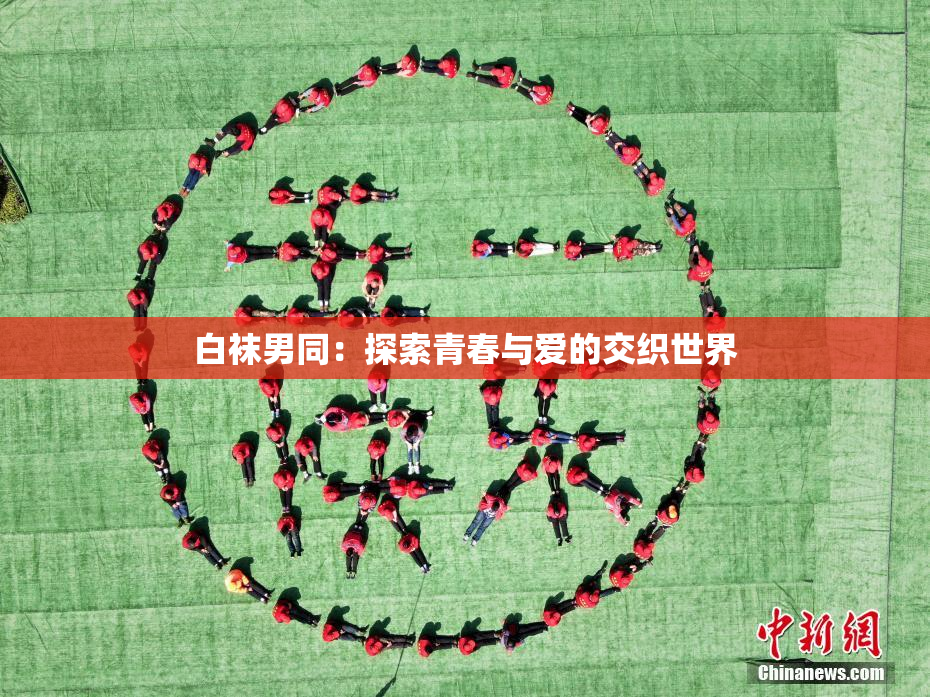 白袜男同：探索青春与爱的交织世界