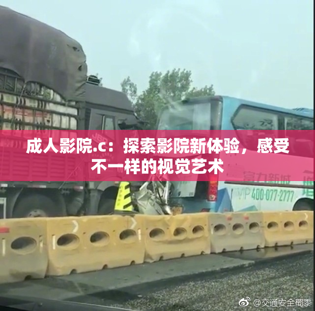 成人影院.c：探索影院新体验，感受不一样的视觉艺术