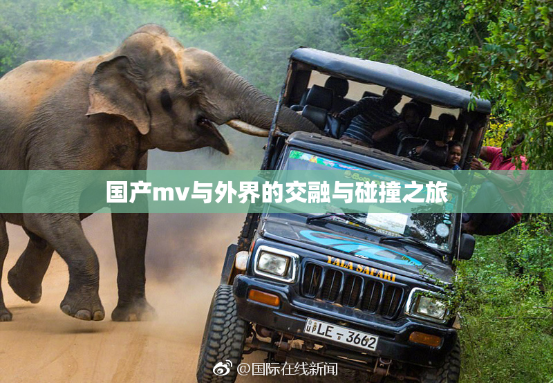 国产mv与外界的交融与碰撞之旅