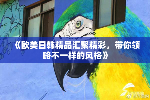 《欧美日韩精品汇聚精彩，带你领略不一样的风格》