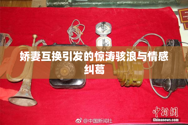 娇妻互换引发的惊涛骇浪与情感纠葛
