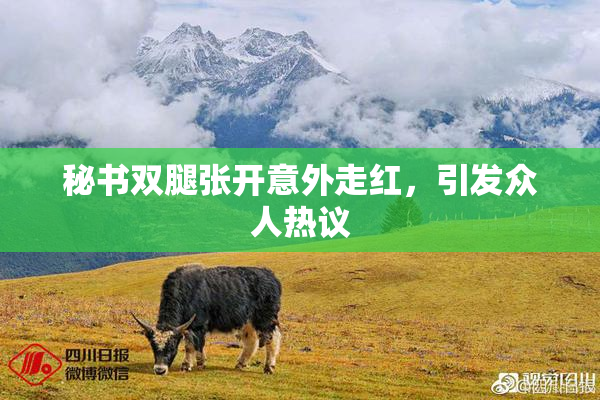 秘书双腿张开意外走红，引发众人热议