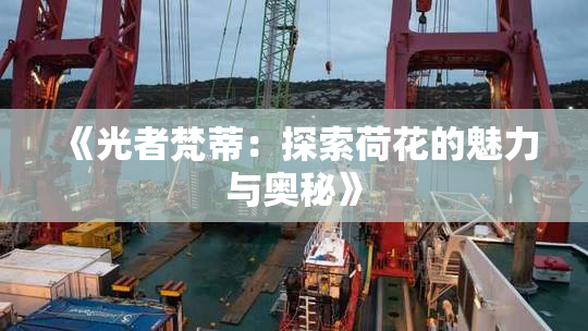 《光者梵蒂：探索荷花的魅力与奥秘》