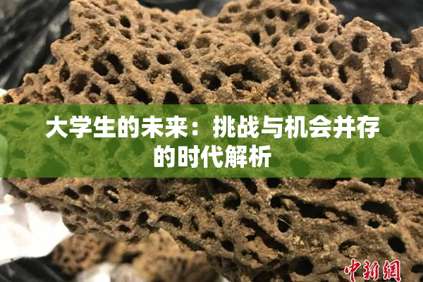 大学生的未来：挑战与机会并存的时代解析